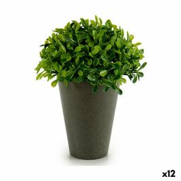 Planta Decorativa Plástico 13 x 16 x 13 cm Verde Gris (12 Unidades) Precio: 31.50000018. SKU: B1JHBQ86VQ