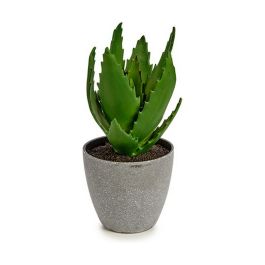 Planta Decorativa Aloe Vera 14 x 21 x 14 cm Gris Verde Plástico (6 Unidades)