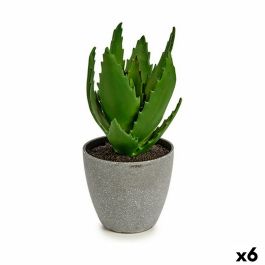 Planta Decorativa Aloe Vera 14 x 21 x 14 cm Gris Verde Plástico (6 Unidades)