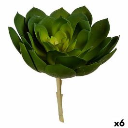 Planta Decorativa 22 x 19 x 19 cm Verde Plástico (6 Unidades) Precio: 28.9500002. SKU: B1HH8MWMNL