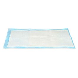 Empapador 40 x 60 cm Azul Blanco Papel Polietileno (10 Unidades)