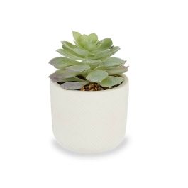 Planta Decorativa Ibergarden QY-H037 Plástico Suculenta 14 x 13,5 x 14 cm (12 Unidades)