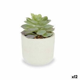 Planta Decorativa Suculenta Plástico 14 x 13,5 x 14 cm (12 Unidades)