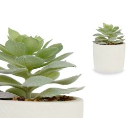 Planta Decorativa Suculenta Plástico 14 x 13,5 x 14 cm (12 Unidades)
