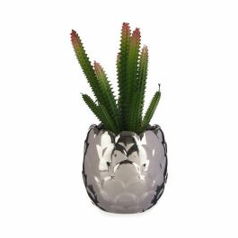Planta Decorativa Cactus Cerámica Plástico 10 x 20 x 10 cm (6 Unidades)
