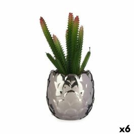 Planta Decorativa Cactus Cerámica Plástico 10 x 20 x 10 cm (6 Unidades) Precio: 46.95000013. SKU: B1BKPP9AF7