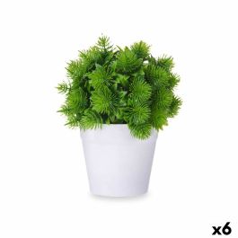 Planta Decorativa Plástico 17 x 19,5 x 17 cm (6 Unidades) Precio: 26.98999985. SKU: B1E54D2YND