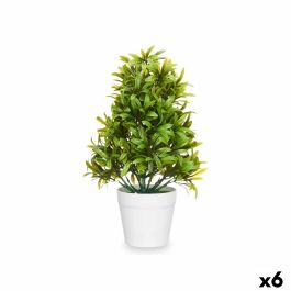 Planta Decorativa Plástico 18 x 35 x 16 cm (6 Unidades) Precio: 37.6899996. SKU: B1FJGHPTAT