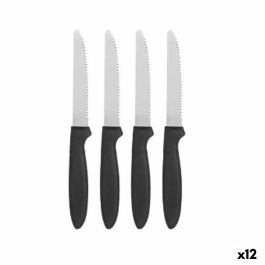 Set de Cuchillos Negro Plateado Acero Inoxidable Plástico 19,5 cm (12 Unidades) Precio: 22.49999961. SKU: B1GBJMZTSR