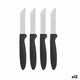 Set de Cuchillos Peladores Negro Plateado Acero Inoxidable Plástico 17,2 cm (12 Unidades) Precio: 22.94999982. SKU: B18CXZ6D7L