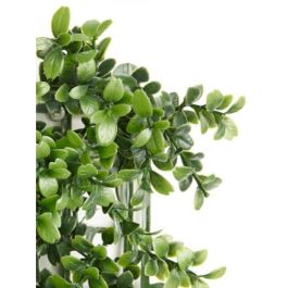 Jardin Vertical 50 X 50 Cm Hoja Verde Ibergarden (10 Unidades) Jardin Vertical 50 X 50 Cm Hoja Verde Ibergarden (10 Unidades)