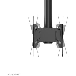 Soporte de Mesa para Pantalla Neomounts CL35-340BL22 42" 23"-42" 43"