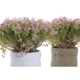 DKD Home Decor Planta Material PE y EVA, Colores Surtidos (Blanco, Marrón, Verde), Dimensiones 20x20x19 cm - Lote 4 Unidades DKD Home Decor Planta Material PE y EVA, Colores Surtidos (Blanco, Marrón, Verde), Dimensiones 20x20x19 cm - Lote 4 Unidades