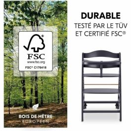 HAUCK HAU1731627400690 Trona Evolutiva BETA+ de Madera FSC con Arnés de 5 Puntos y Ruedas para Bebés de 6 Meses a 90 kg, Gris