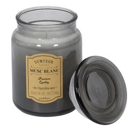 Home Deco Factory Vela Perfumada Tarro Colección Apothicaire - Ámbar, Flor de Algodón, Almizcle Blanco - Cera de Parafina 530g, 14.5cm