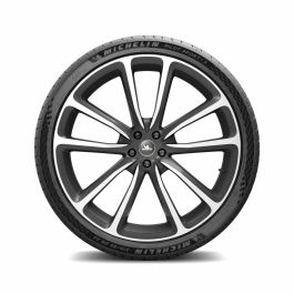 Neumático para Coche Michelin PILOT SPORT PS4S 315/30ZR22