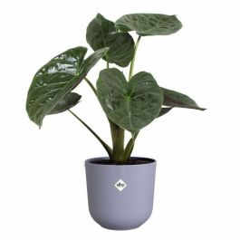 Elho ELH2942803040400 Maceta Jazz Redonda Morada, 100% Reciclada, Interior - L30xAn29.5xAl27 cm