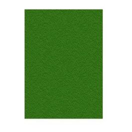 Portadas de encuadernación Displast Verde A4 Cartón 50 Piezas Precio: 10.95000027. SKU: S8404088