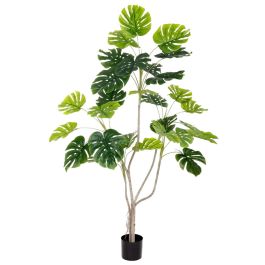 Planta Decorativa Poliuretano Cemento Monstera 180 cm Precio: 157.9499999. SKU: B1AHGVJKKJ