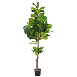 Planta Decorativa Poliuretano Cemento Ficus 200 cm Precio: 158.59000036. SKU: B1KGELCWKW