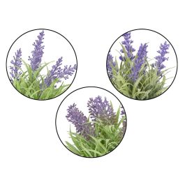 Maceta Cilindro Lavanda Surtidos Ibergarden 15X21CM (36 Unidades) Maceta Cilindro Lavanda Surtidos Ibergarden 15X21CM (36 Unidades)