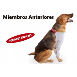 Petmed Protector Extremidades Anteriores Precio: 28.78999948. SKU: B1B99SVSQ2
