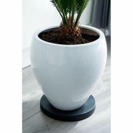 NATURE Mesa enrollable para plantas - Polipropileno - H4 x Ø29.2 cm