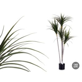 Ibergarden Planta con Maceta Hoja Estrecha Pequeña 140 cm (Alto 140 x Ancho 80 x Largo 85 cm) Precio: 46.78999941. SKU: S3611157