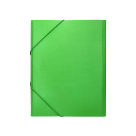 Liderpapel Carpeta Clasificadora Folio Prolongado Verde Claro 12 Departamentos Cartón Forrado