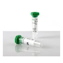 Tubos Heparina Litio Sangue Verde 70x12 2 mL 100 Unidades Precio: 25.7900005. SKU: B1B5JG62FR