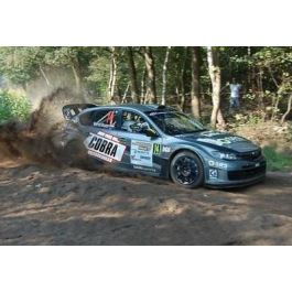 Cobra Amortiguador Deportivo Regulable SF144403R EVO R Altura y Dureza Extrema Cómodo Viaje Botella Gas