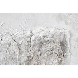 DKD Home Decor Cuadro 100% Pintado a Mano sobre Lienzo, Estilo Cottage con Árboles, Gris Beige Blanco 100x100 cm - Set de 2 Cuadros