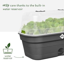 Bandeja de cultivo ELHO Green Basics Allin1 L - Negro - L 39 x B 23 x H 15 cm - cultivo y cosecha - 100% reciclado Bandeja de cultivo ELHO Green Basics Allin1 L - Negro - L 39 x B 23 x H 15 cm - cultivo y cosecha - 100% reciclado