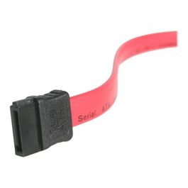 Startechcom Cable Adaptador SAS SFF-8482 a Molex y SATA 46 cm