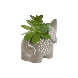 Planta DKD Home Decor Gris Verde 5 x 7 x 8 cm (3 Unidades)