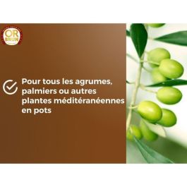 Tierra para cítricos y plantas mediterráneas - BROWN GOLD - OBRTAGR6U - 6L - Olivos, palmeras y cycas Tierra para cítricos y plantas mediterráneas - BROWN GOLD - OBRTAGR6U - 6L - Olivos, palmeras y cycas