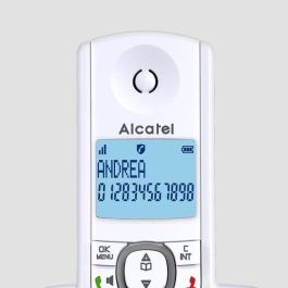 Alcatel F530 Teléfono Inalámbrico Sin Contestador, Gran Pantalla Retroiluminada, Manos Libres, Directorio 50 Contactos, Función VIP, Gris