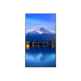 Monitor Videowall Sharp P656 4K Ultra HD 64,5"