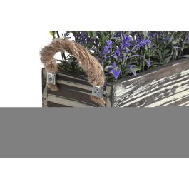 Planta Shabby DKD Home Decor Lila Fucsia 12 x 21 x 30 cm (2 Unidades) Planta Shabby DKD Home Decor Lila Fucsia 12 x 21 x 30 cm (2 Unidades)