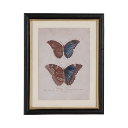 Cuadro Impresión Mariposas 4/M 31 X 1,80 X 39 cm