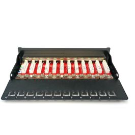 Digitus Patchpanel de Conexión CAT 6A Apantallado, 12 Puertos, 1U, 10 Gigabit Ethernet, RJ-45, Negro