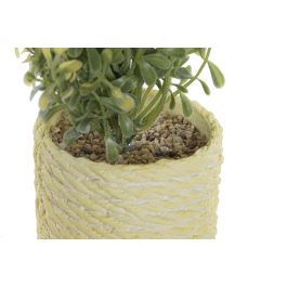 DKD Home Decor Planta Artificial Decorativa Variedad Colores (Rosa, Amarillo, Verde), Material PE EVA, 15x17x15 cm, Pack 12 Unidades DKD Home Decor Planta Artificial Decorativa Variedad Colores (Rosa, Amarillo, Verde), Material PE EVA, 15x17x15 cm, Pack 12 Unidades