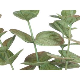 Maceta Planta Hoja Redonda Mate Brillo Surtidos Col Ibergarden 16X35CM (12 Unidades) Maceta Planta Hoja Redonda Mate Brillo Surtidos Col Ibergarden 16X35CM (12 Unidades)