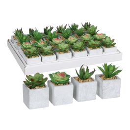 Mica Decorations Suculenta verde en maceta de plástico gris, 4 modelos surtidos, 8x5 cm Precio: 6.50000021. SKU: S7902757