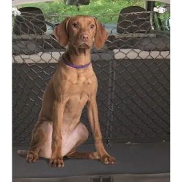 Freedog Red de Seguridad Separadora 140 x 120 cm Precio: 7.49999987. SKU: B16TVVLTG6