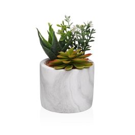 Planta Decorativa Versa Cerámica Plástico Fusion Suculenta 9 x 15 x 9 cm Precio: 6.50000021. SKU: B1FKQFWXED