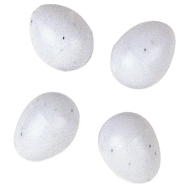 Ferplast Huevos De Plastico Para Pajaros 1,3x1,6 cm Precio: 5.4449996128. SKU: B1CRYM7BYB