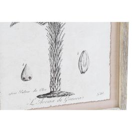 Cuadro Colonial DKD Home Decor Gris Beige 1.8 x 45 x 35 cm (9 Unidades)