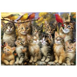 Educa EDU1747456935666 Puzzle Gatitos y Pájaros 500 piezas