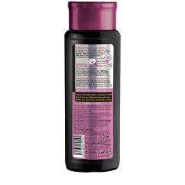 Natur Vital Champú Sin Sulfatos Protección Color UV Cabello Teñido 300 ml